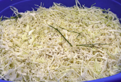 [05]Zelí, cibule, kopr, jablko, kmín, cukr a sůl