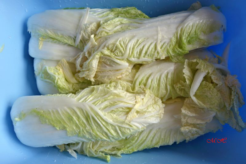 01.Nasolené čtvrtky pekingského zelí