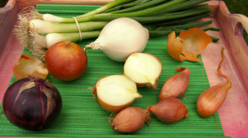 Cibulové sexteto