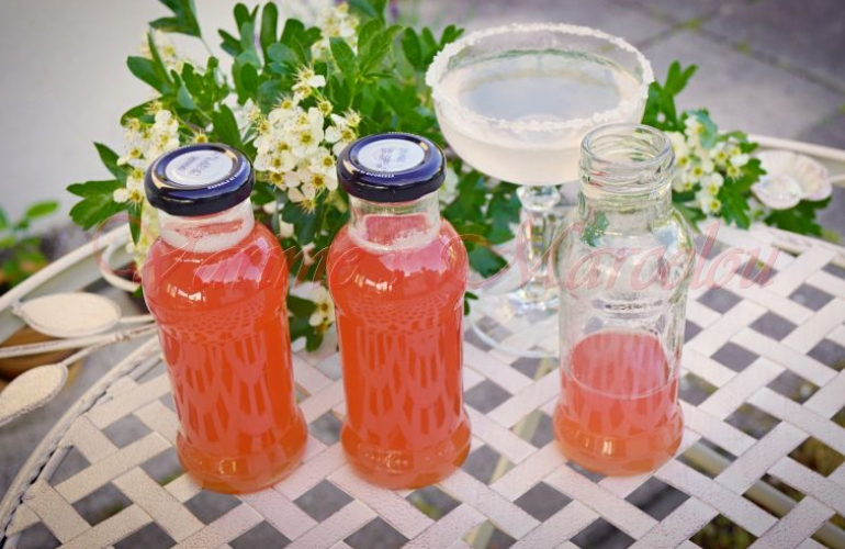 Rebarborový sirup + rebarborový koktejl